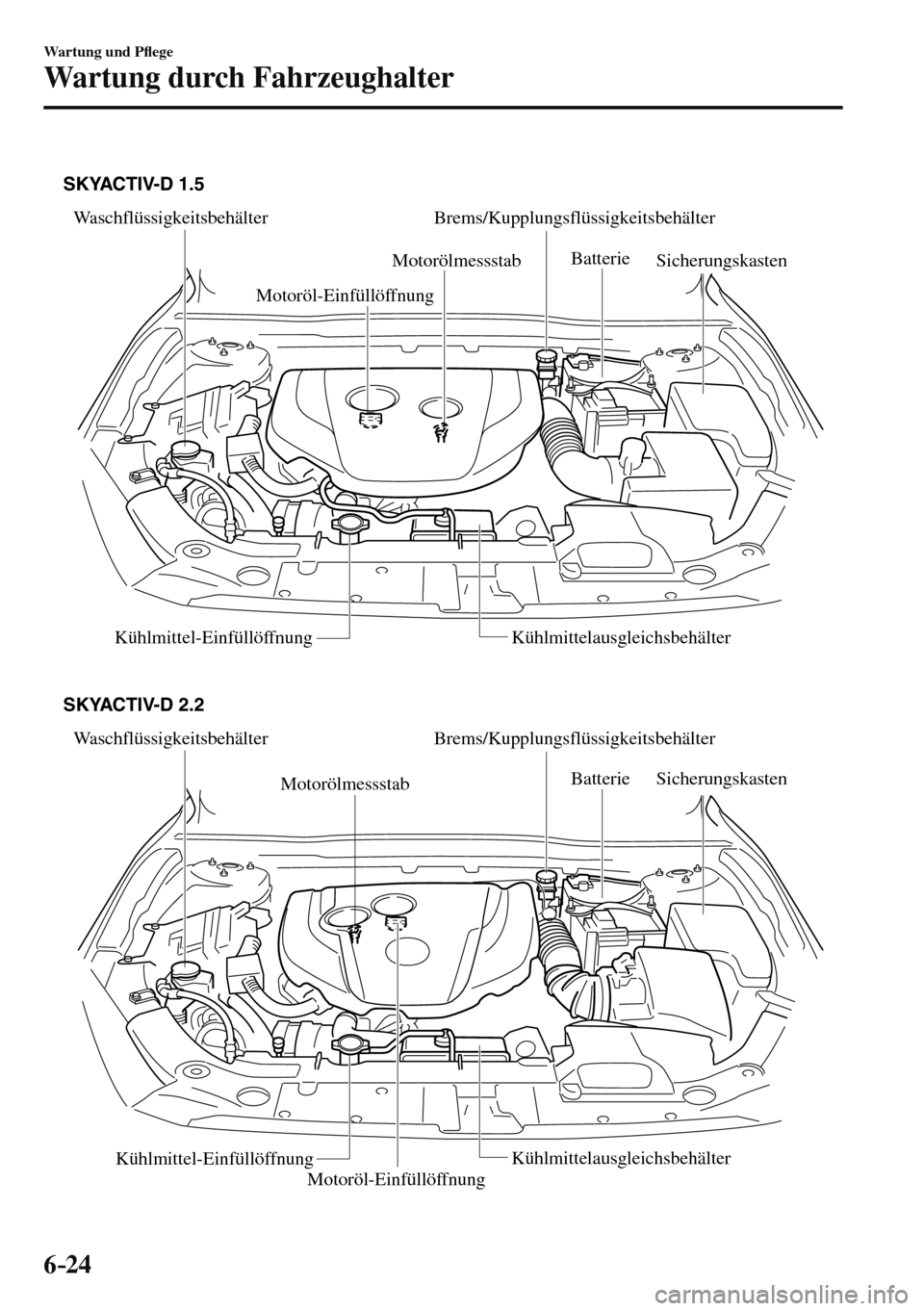 MAZDA MODEL 3 HATCHBACK 2016  Betriebsanleitung (in German) 6–24
Wartung und P�À ege
Wartung durch Fahrzeughalter
 
Waschflüssigkeitsbehälter Brems/Kupplungsflüssigkeitsbehälter
Batterie 
Sicherungskasten
Kühlmittel-Einfüllöffnung Kühlmittelausgleic