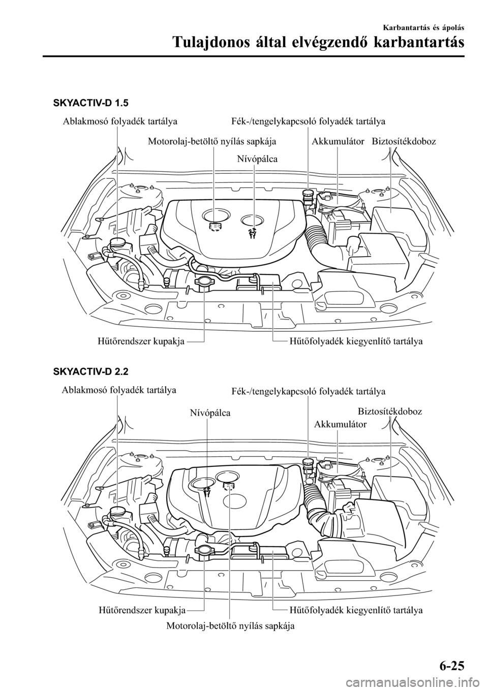 MAZDA MODEL 3 HATCHBACK 2016 Kezelési útmutató (in Hungarian)
Ablakmosó folyadék tartálya Fék-/tengelykapcsoló folyadék tartálya
Akkumulátor
Biztosítékdoboz
Hűtőrendszer kupakja Hűtőfolyadék kiegyenlítő tartálya SKYACTIV-D 1.5
Nívópálca Mo MAZDA MODEL 3 HATCHBACK 2016 Kezelési útmutató (in Hungarian)
Ablakmosó folyadék tartálya Fék-/tengelykapcsoló folyadék tartálya
Akkumulátor
Biztosítékdoboz
Hűtőrendszer kupakja Hűtőfolyadék kiegyenlítő tartálya SKYACTIV-D 1.5
Nívópálca Mo