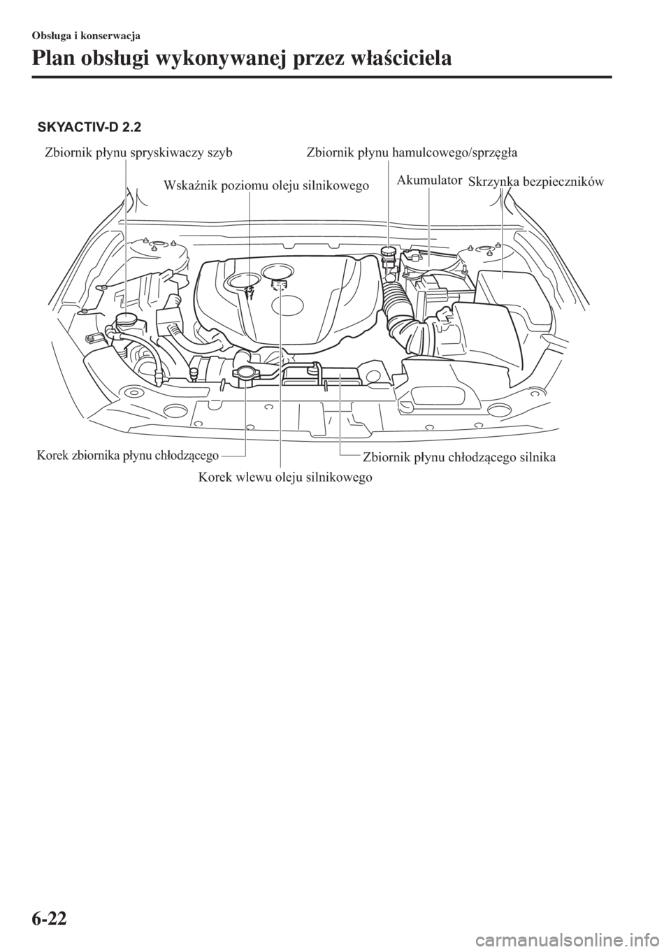 MAZDA MODEL 3 HATCHBACK 2015  Instrukcja Obsługi (in Polish) 6-22
Obs�áuga i konserwacja
Plan obs�áugi wykonywanej przez w�áaciciela
Zbiornik płynu spryskiwaczy szyb Zbiornik płynu hamulcowego/sprzęgła
Wskaźnik poziomu oleju silnikowegoAkumulator
Skrz