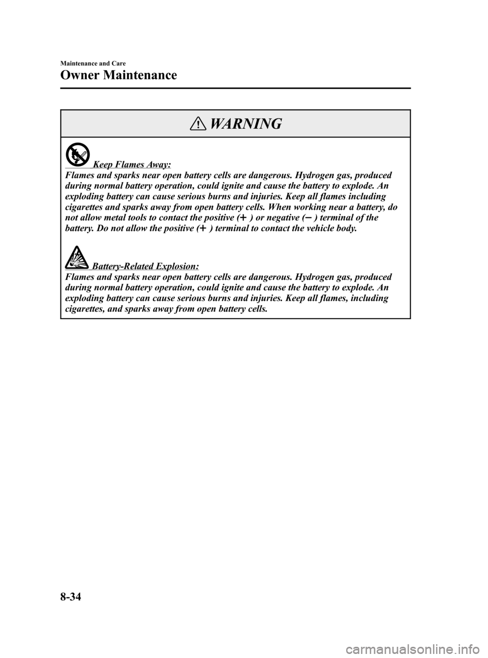 MAZDA MODEL 3 HATCHBACK 2007   (in English) Owners Guide Black plate (308,1)
WARNING
Keep Flames Away:
Flames and sparks near open battery cells are dangerous. Hydrogen gas, produced
during normal battery operation, could ignite and cause the battery to exp