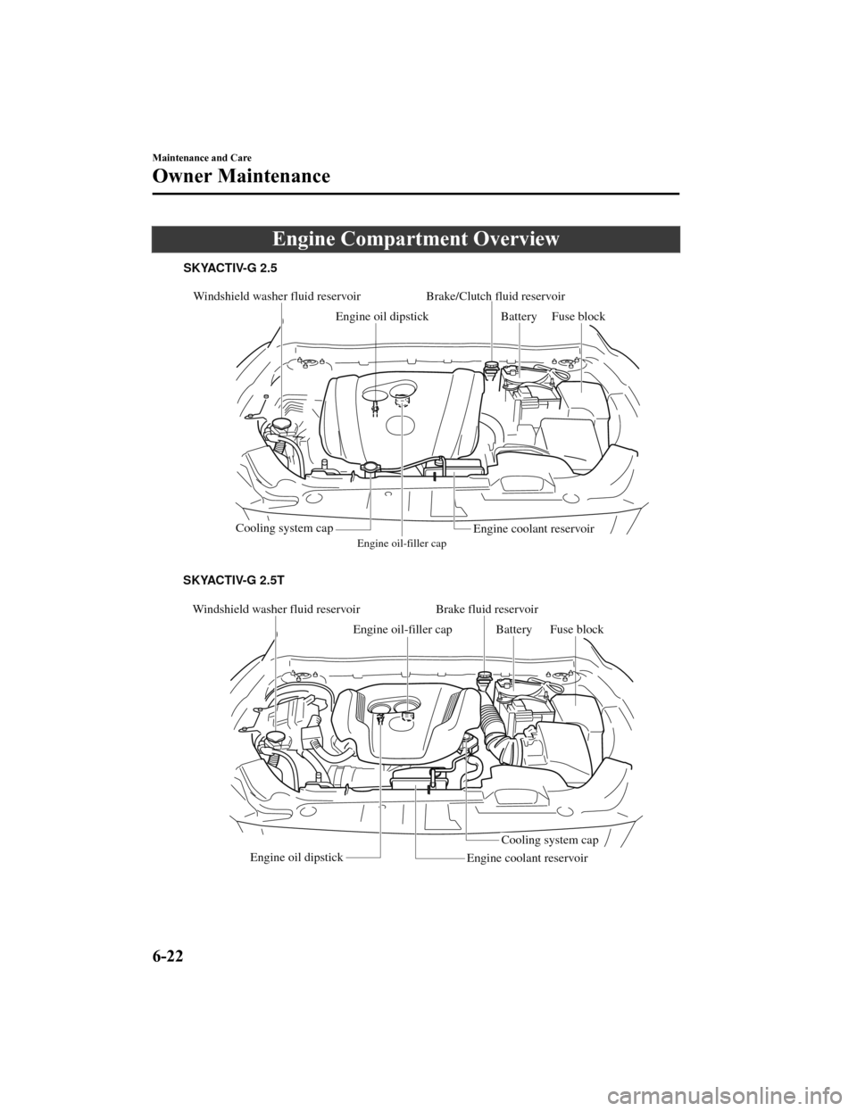 MAZDA MODEL 6 2019  Owners Manual (in English) Engine Compartment Overview
Windshield washer fluid reservoir
Engine oil-filler cap
Engine oil dipstick BatteryFuse block
Cooling system cap
Engine coolant reservoir
Windshield washer fluid reservoir
