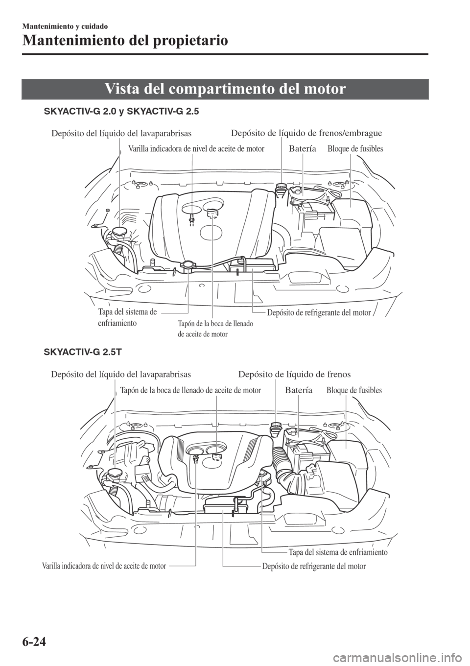 MAZDA MODEL 6 2019  Manual del propietario (in Spanish) �9�L�V�W�D��G�H�O��F�R�P�S�D�U�W�L�P�H�Q�W�R��G�H�O��P�R�W�R�U
Depósito del líquido del lavaparabrisas
Tapón de la boca de llenado de aceite de motor
Varilla indicadora de nivel de aceite de mo