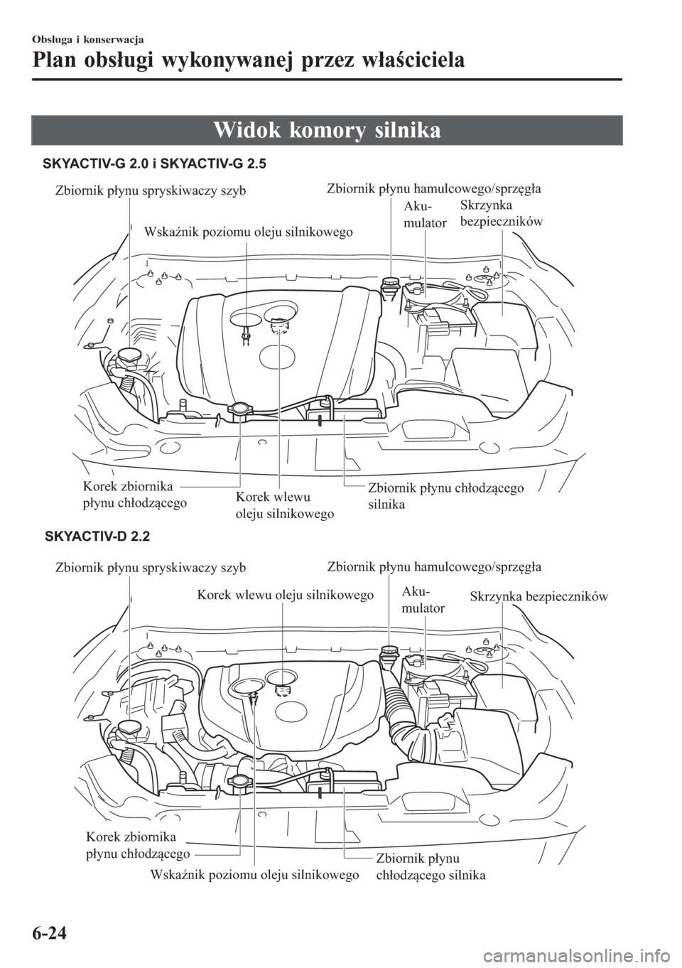 MAZDA MODEL 6 2016 Instrukcja Obsługi (in Polish) Widok komory silnika
Zbiornik płynu spryskiwaczy szyb
Korek wlewu oleju silnikowego
Wskaźnik poziomu oleju silnikowegoAku-
mulatorSkrzynka bezpieczników
Zbiornik płynu
chłodzącego silnika
Zbior MAZDA MODEL 6 2016 Instrukcja Obsługi (in Polish) Widok komory silnika
Zbiornik płynu spryskiwaczy szyb
Korek wlewu oleju silnikowego
Wskaźnik poziomu oleju silnikowegoAku-
mulatorSkrzynka bezpieczników
Zbiornik płynu
chłodzącego silnika
Zbior