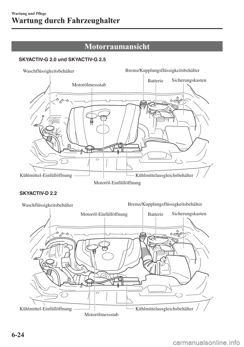 MAZDA MODEL 6 2015 Betriebsanleitung (in German) Motorraumansicht
Waschflüssigkeitsbehälter
Motoröl-Einfüllöffnung
MotorölmessstabBatterie Sicherungskasten
Kühlmittel-Einfüllöffnung Kühlmittelausgleichsbehälter
Waschflüssigkeitsbehälter MAZDA MODEL 6 2015 Betriebsanleitung (in German) Motorraumansicht
Waschflüssigkeitsbehälter
Motoröl-Einfüllöffnung
MotorölmessstabBatterie Sicherungskasten
Kühlmittel-Einfüllöffnung Kühlmittelausgleichsbehälter
Waschflüssigkeitsbehälter