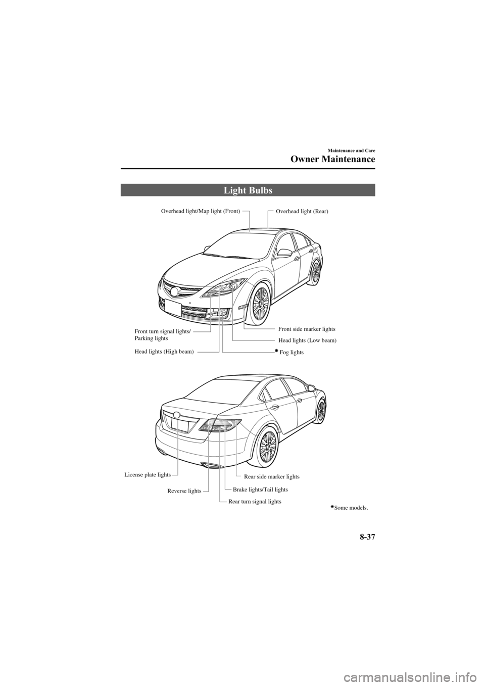 MAZDA MODEL 6 2009  Owners Manual (in English) Black plate (379,1)
Light Bulbs
Overhead light/Map light (Front)
Head lights (High beam) Fog lights
Head lights (Low beam)
Front turn signal lights/ 
Parking lights
Rear turn signal lightsOverhead lig