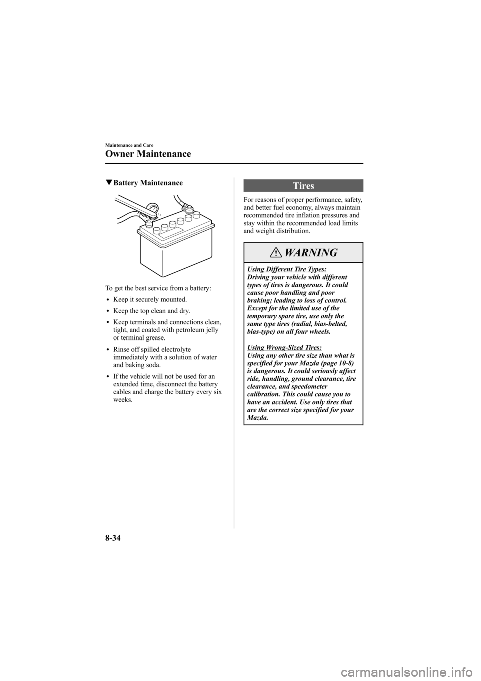 MAZDA MODEL 6 2007  Owners Manual (in English) Black plate (298,1)
qBattery Maintenance
To get the best service from a battery:
lKeep it securely mounted.
lKeep the top clean and dry.
lKeep terminals and connections clean,
tight, and coated with p