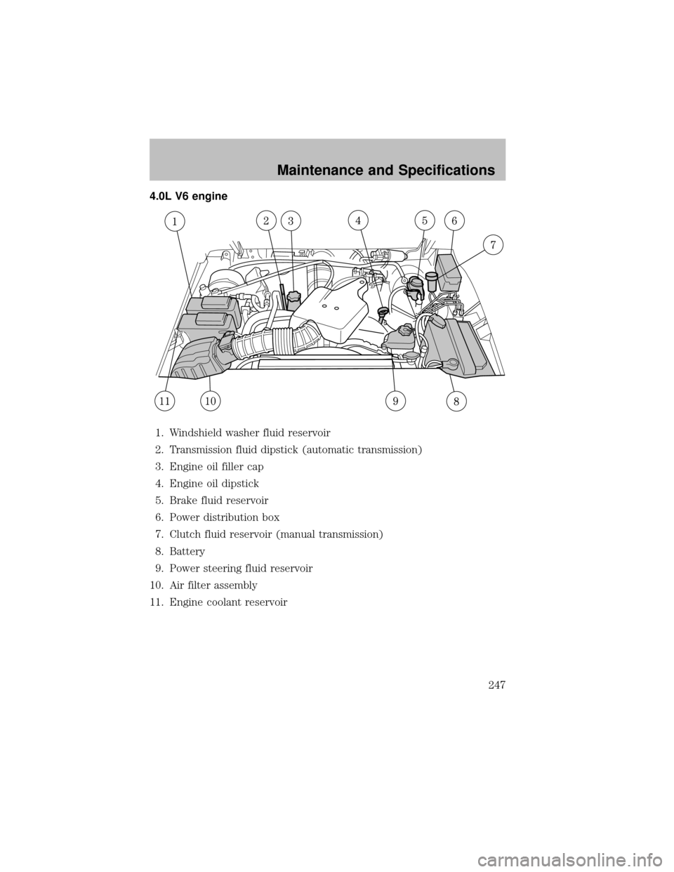 MAZDA MODEL B-SERIES 2010  Owners Manual (in English) 