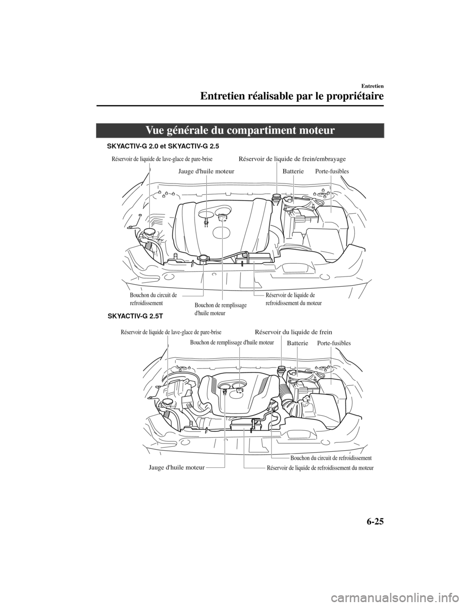 MAZDA MODEL CX-5 2019 Manuel du propriétaire (in French) Vue générale du compartiment moteur
Réservoir de liquide de lave-glace de pare-briseBouchon de remplissage
dhuile moteurRéservoir de liquide de frein/embrayage
Jauge dhuile moteur BatteriePorte MAZDA MODEL CX-5 2019 Manuel du propriétaire (in French) Vue générale du compartiment moteur
Réservoir de liquide de lave-glace de pare-briseBouchon de remplissage
dhuile moteurRéservoir de liquide de frein/embrayage
Jauge dhuile moteur BatteriePorte