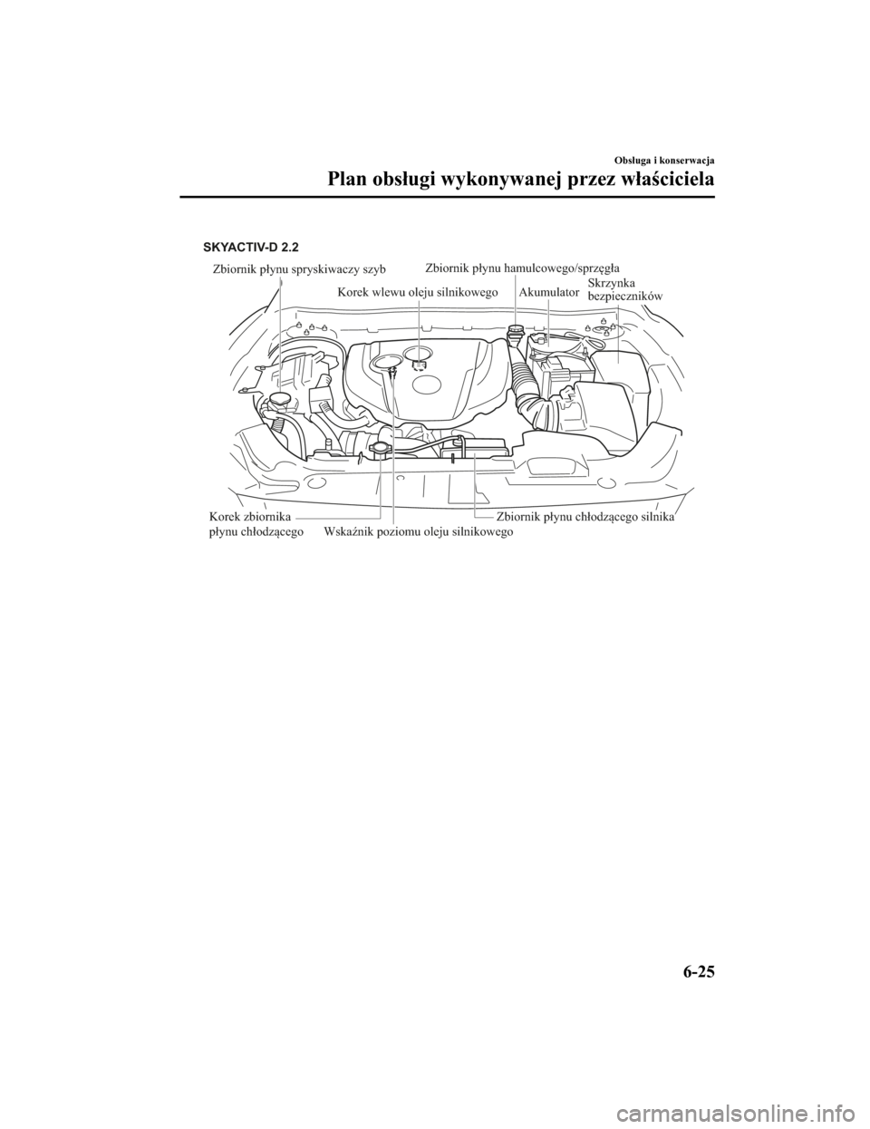 MAZDA MODEL CX-5 2019 Instrukcja Obsługi (in Polish) Zbiornik płynu spryskiwaczy szyb
Korek wlewu oleju silnikowego
Wskaźnik poziomu oleju silnikowego Akumulator
Korek zbiornika
płynu chłodzącegoZbiornik płynu chłodzącego silnika
SKYACTIV-D 2.2 MAZDA MODEL CX-5 2019 Instrukcja Obsługi (in Polish) Zbiornik płynu spryskiwaczy szyb
Korek wlewu oleju silnikowego
Wskaźnik poziomu oleju silnikowego Akumulator
Korek zbiornika
płynu chłodzącegoZbiornik płynu chłodzącego silnika
SKYACTIV-D 2.2