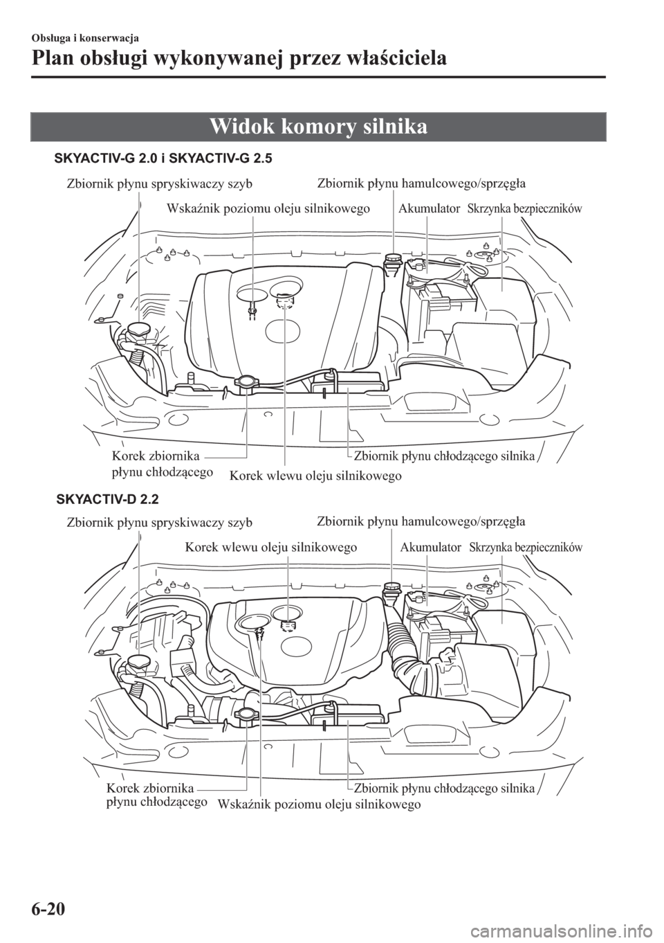 MAZDA MODEL CX-5 2018  Instrukcja Obsługi (in Polish) Widok komory silnika
Zbiornik płynu spryskiwaczy szyb
Korek wlewu oleju silnikowego
Wskaźnik poziomu oleju silnikowegoAkumulator
Korek zbiornika 
płynu chłodzącegoZbiornik płynu chłodzącego si
