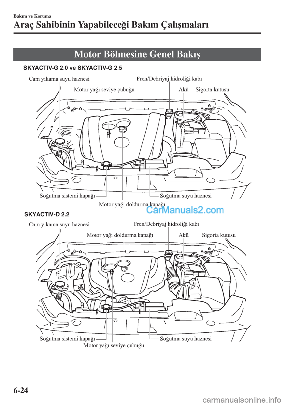 MAZDA MODEL CX-5 2017  Kullanım Kılavuzu (in Turkish) Motor Bölmesine Genel Bak�Õ�ú
Cam yıkama suyu haznesi
Motor yağı doldurma kapağı
Motor yağı seviye çubuğuAkü
Soğutma sistemi kapağı Soğutma suyu haznesi
Cam yıkama suyu haznesi
Motor