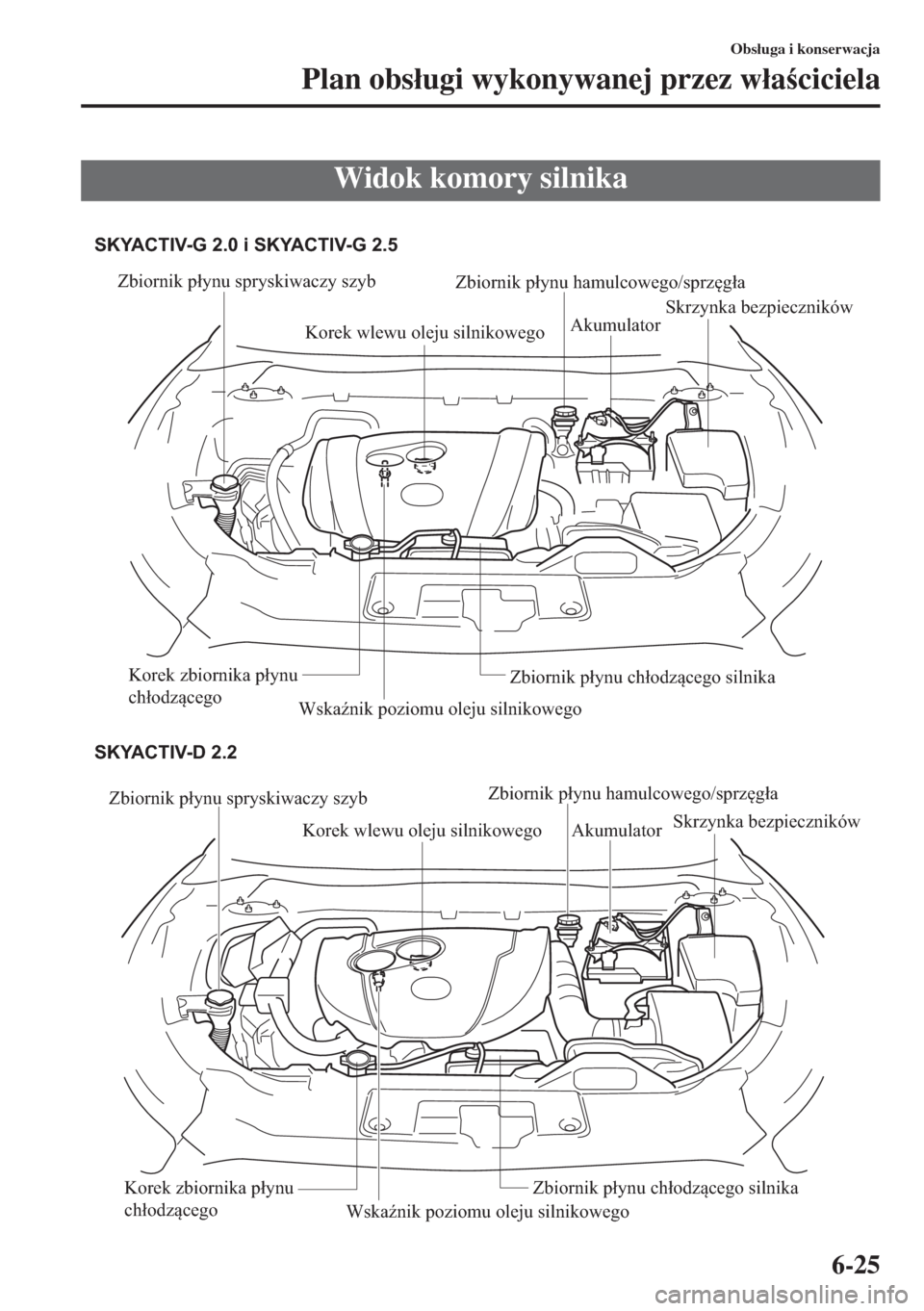 MAZDA MODEL CX-5 2015  Instrukcja Obsługi (in Polish) 6-25
Obs�áuga i konserwacja
Plan obs�áugi wykonywanej przez w�áaciciela
Widok komory silnika
Zbiornik płynu spryskiwaczy szyb
Korek wlewu oleju silnikowegoZbiornik płynu hamulcowego/sprzęgła
