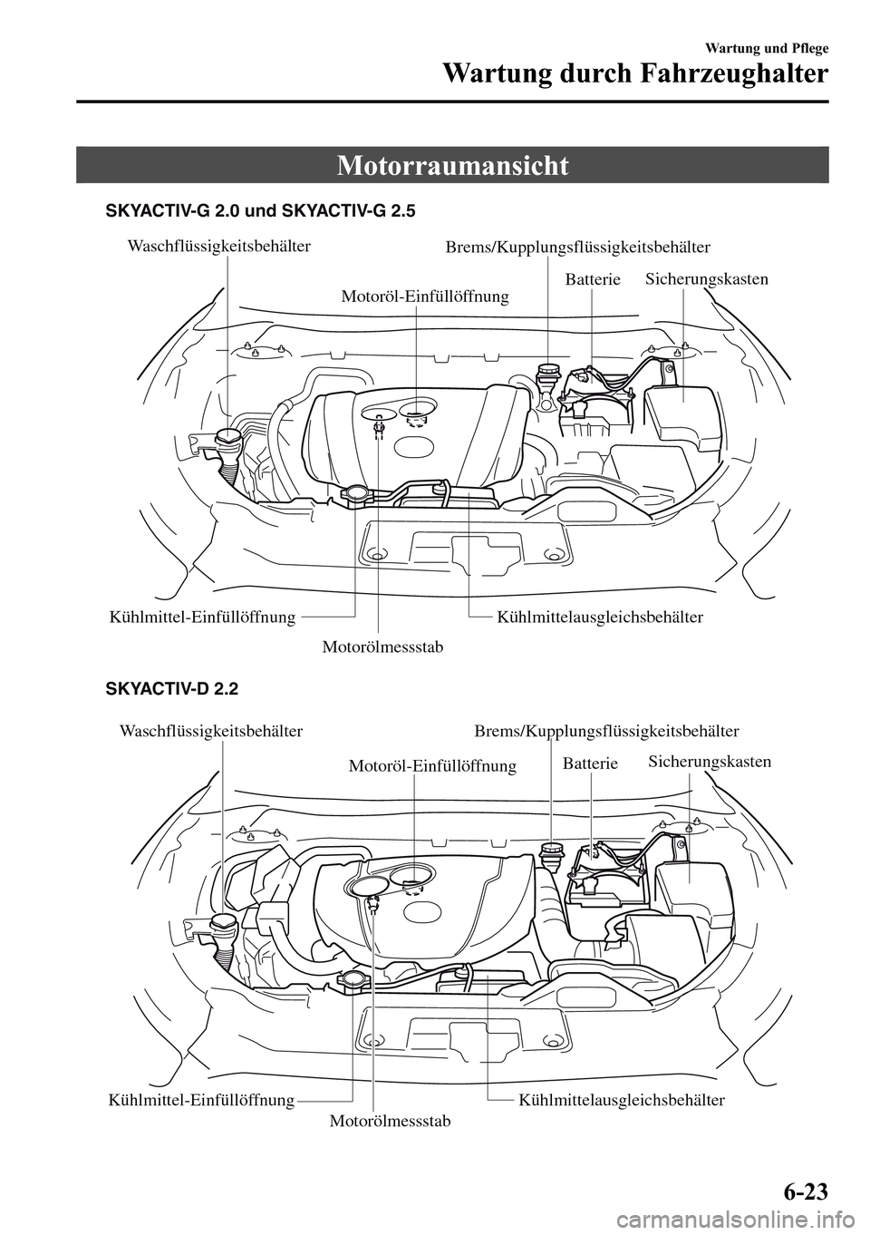 MAZDA MODEL CX-5 2013 Betriebsanleitung (in German) Motorraumansicht
Waschflüssigkeitsbehälter
Motoröl-EinfüllöffnungBrems/Kupplungsflüssigkeitsbehälter
Motorölmessstab Batterie Sicherungskasten
Kühlmittel-Einfüllöffnung Kühlmittelausglei MAZDA MODEL CX-5 2013 Betriebsanleitung (in German) Motorraumansicht
Waschflüssigkeitsbehälter
Motoröl-EinfüllöffnungBrems/Kupplungsflüssigkeitsbehälter
Motorölmessstab Batterie Sicherungskasten
Kühlmittel-Einfüllöffnung Kühlmittelausglei