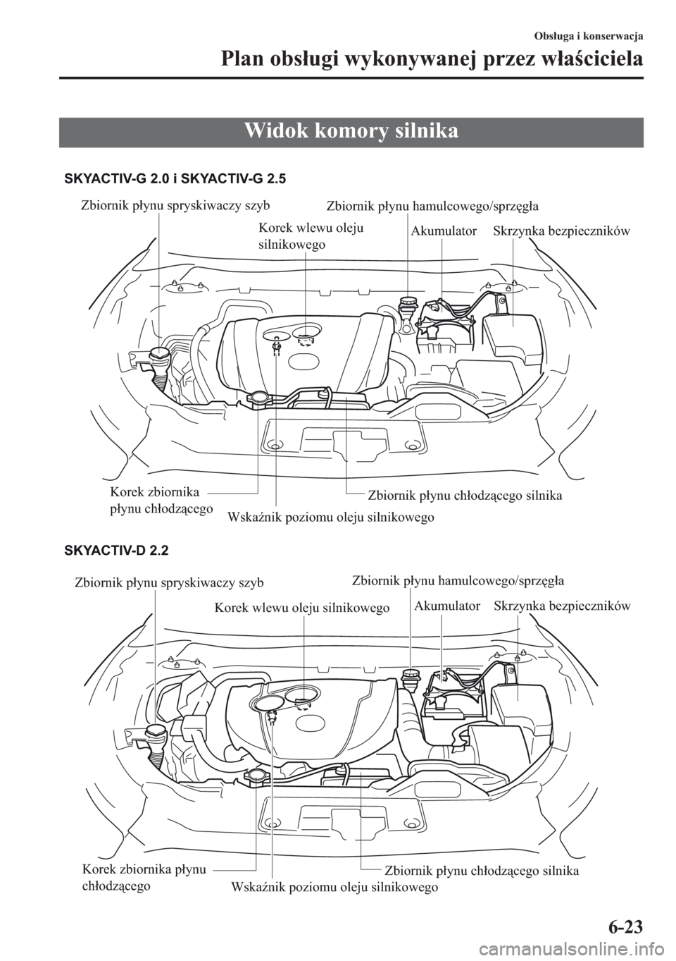 MAZDA MODEL CX-5 2013  Instrukcja Obsługi (in Polish) 6-23
Obsuga i konserwacja
Plan obsugi wykonywanej przez waciciela
Widok komory silnika
Zbiornik płynu spryskiwaczy szyb
Korek wlewu oleju silnikowego Zbiornik płynu hamulcowego/sprzęgła
Wskaź