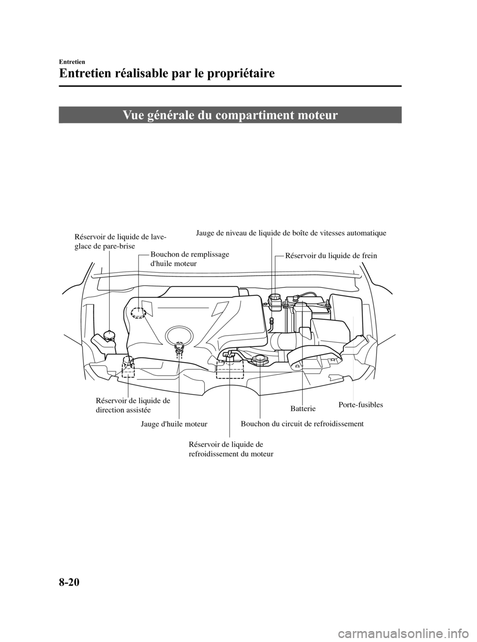 MAZDA MODEL CX-7 2008 Manuel du propriétaire (in French) Black plate (342,1)
Vue générale du compartiment moteur
Réservoir de liquide de lave-
glace de pare-brise
Bouchon de remplissage
dhuile moteurJauge de niveau de liquide de boîte de vitesses auto MAZDA MODEL CX-7 2008 Manuel du propriétaire (in French) Black plate (342,1)
Vue générale du compartiment moteur
Réservoir de liquide de lave-
glace de pare-brise
Bouchon de remplissage
dhuile moteurJauge de niveau de liquide de boîte de vitesses auto