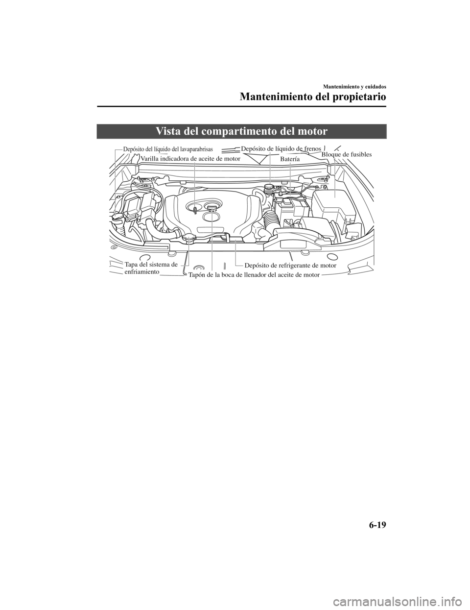 MAZDA MODEL CX-9 2019 Manual del propietario (in Spanish) Vista del compartimento del motor
Varilla indicadora de aceite de motor
Depósito de líquido de frenosBloque de fusiblesBatería
Depósito de refrigerante de motor
Depósito del líquido del lavapara MAZDA MODEL CX-9 2019 Manual del propietario (in Spanish) Vista del compartimento del motor
Varilla indicadora de aceite de motor
Depósito de líquido de frenosBloque de fusiblesBatería
Depósito de refrigerante de motor
Depósito del líquido del lavapara