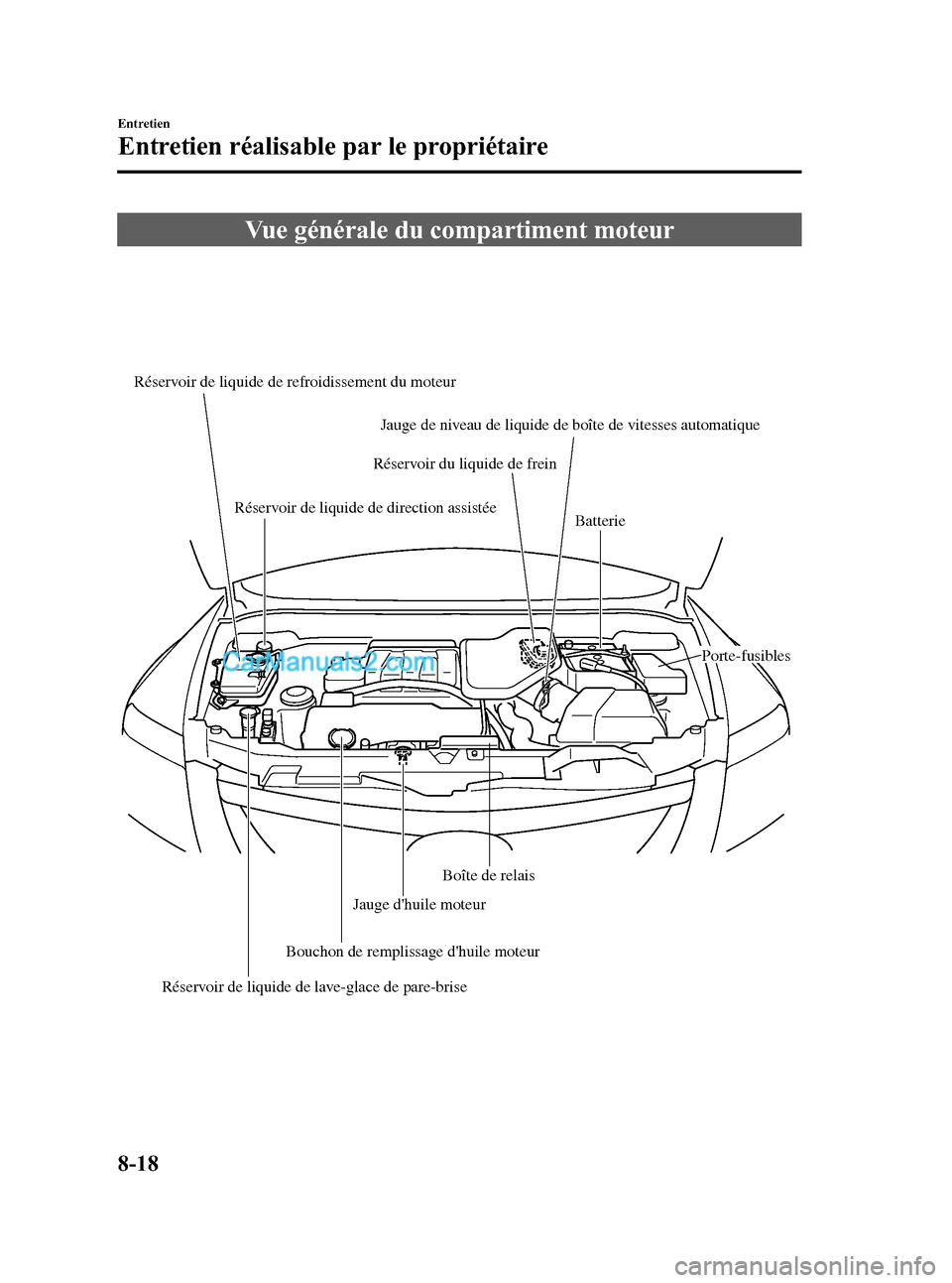 MAZDA MODEL CX-9 2007 Manuel du propriétaire (in French) Black plate (430,1)
Vue générale du compartiment moteur
Réservoir de liquide de refroidissement du moteur
Réservoir du liquide de frein
Batterie
Porte-fusibles
Réservoir de liquide de lave-glace MAZDA MODEL CX-9 2007 Manuel du propriétaire (in French) Black plate (430,1)
Vue générale du compartiment moteur
Réservoir de liquide de refroidissement du moteur
Réservoir du liquide de frein
Batterie
Porte-fusibles
Réservoir de liquide de lave-glace