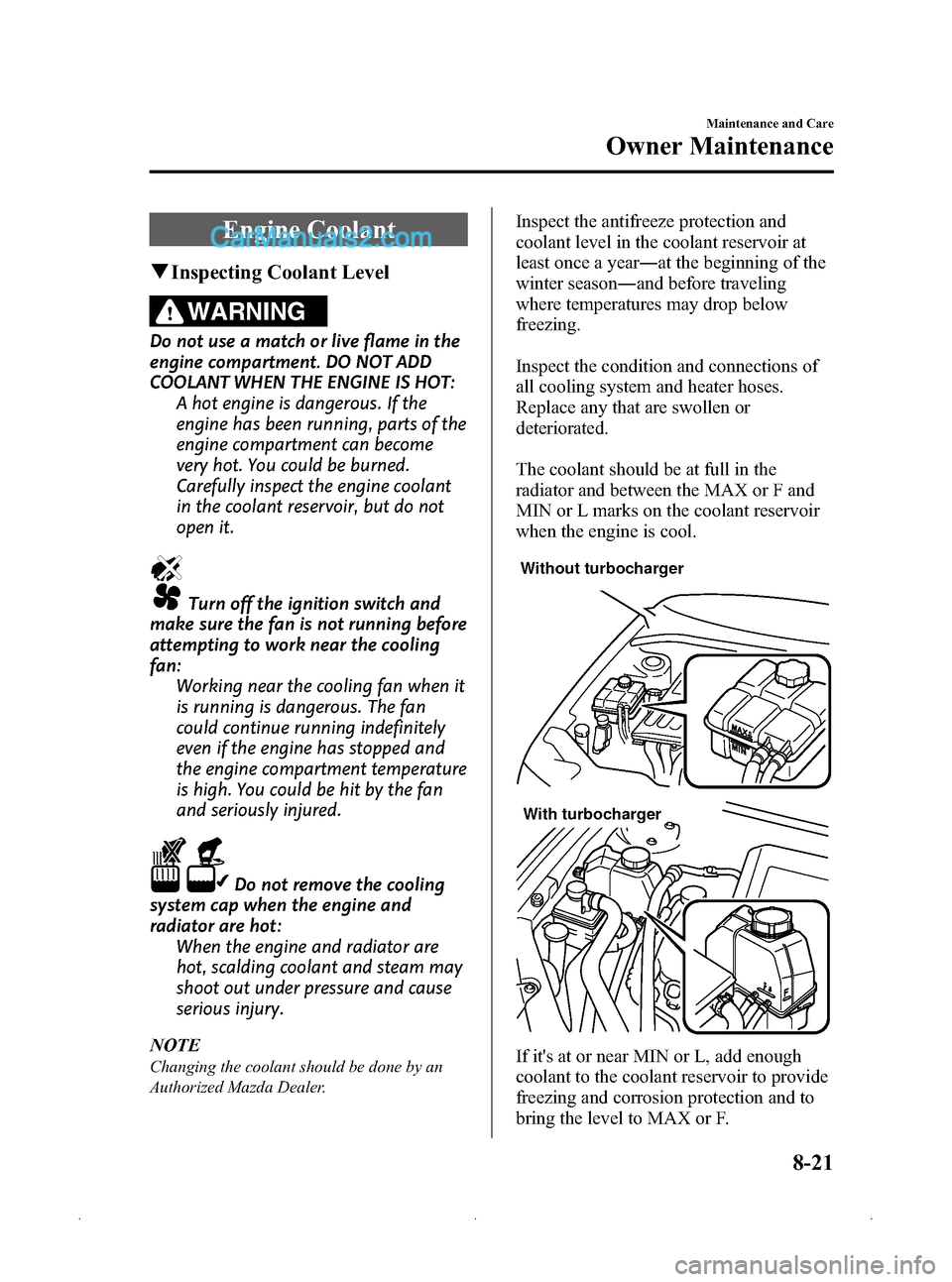 MAZDA MODEL MAZDASPEED 3 2009  Owners Manual (in English) Black plate (307,1)
Engine Coolant
qInspecting Coolant Level
WARNING
Do not use a match or live flame in the
engine compartment. DO NOT ADD
COOLANT WHEN THE ENGINE IS HOT:
A hot engine is dangerous. I