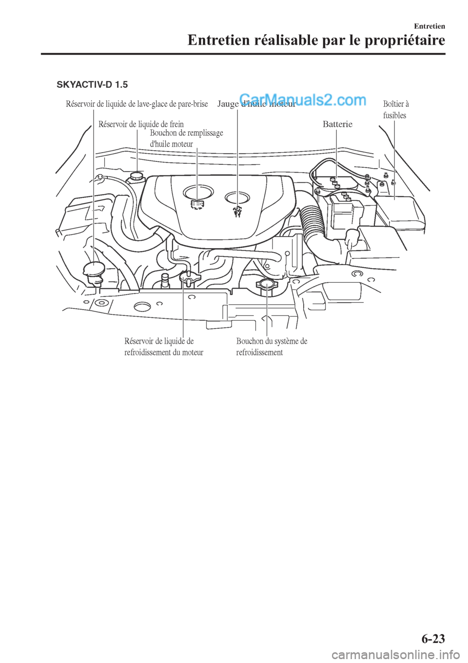 MAZDA MODEL 2 2019  Manuel du propriétaire (in French) Réservoir de liquide de lave-glace de pare-brise
Réservoir de liquide de freinJauge dhuile moteur
BatterieBoîtier à 
fusibles
Bouchon du système de 
refroidissement
Réservoir de liquide de 
ref