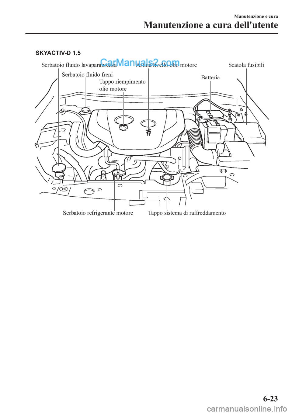 MAZDA MODEL 2 2019  Manuale del proprietario (in Italian) Serbatoio fluido lavaparabrezza
Serbatoio fluido freniAstina livello olio motore
BatteriaScatola fusibili
Tappo sistema di raffreddamento
Serbatoio refrigerante motoreTappo riempimento 
olio motore SK