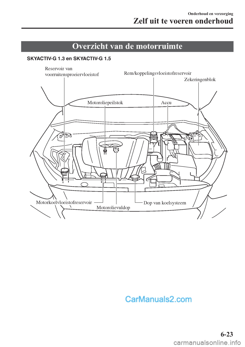 MAZDA MODEL 2 2019  Handleiding (in Dutch) �2�Y�H�U�]�L�F�K�W��Y�D�Q��G�H��P�R�W�R�U�U�X�L�P�W�H
Reservoir van 
voorruitensproeiervloeistofRem/koppelingsvloeistofreservoir
Motoroliepeilstok Accu 
Zekeringenblok
Dop van koelsysteemMotorkoelv