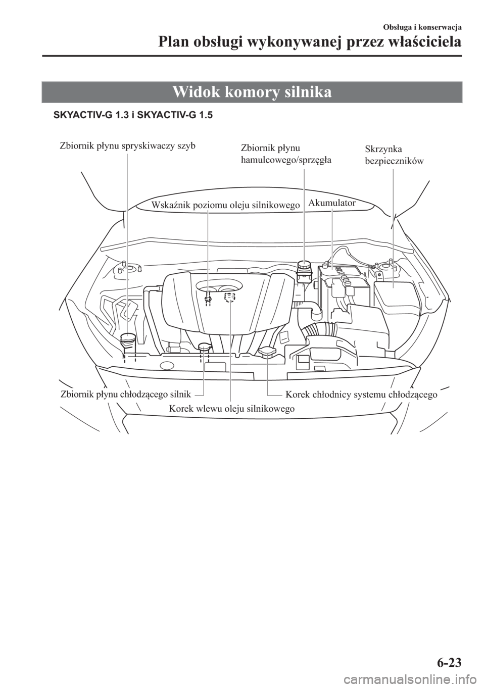 MAZDA MODEL 2 2019  Instrukcja Obsługi (in Polish) �:�L�G�R�N��N�R�P�R�U�\��V�L�O�Q�L�N�D
Zbiornik płynu spryskiwaczy szyb
Zbiornik płynu 
hamulcowego/sprzęgła
Wskaźnik poziomu oleju silnikowegoAkumulator
Skrzynka 
bezpieczników
Korek chłodni