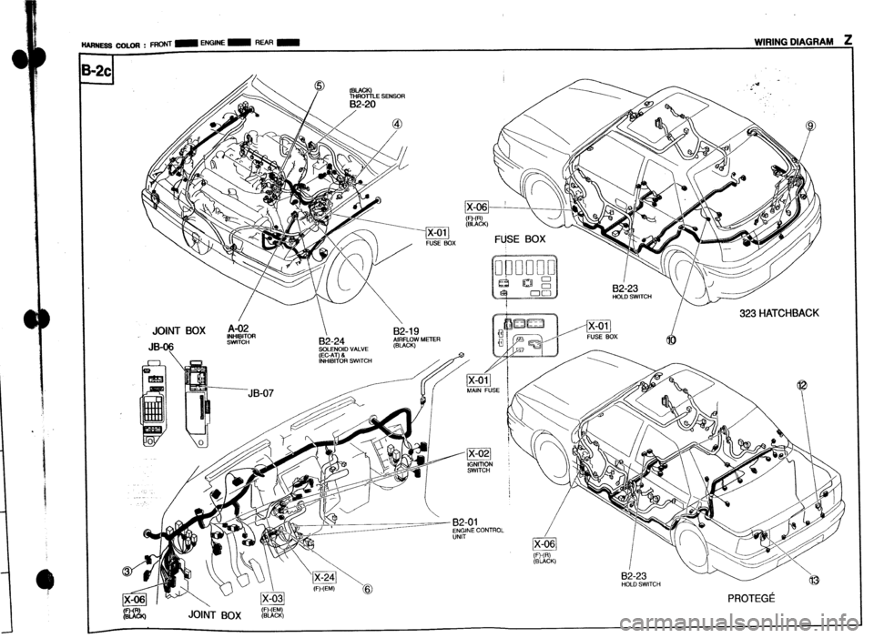 MAZDA 323 1989 Factory Repair Manual / I
323 HATCHBACK
JOINT BOX A-02 //pig
INHIBITOR B&19 Bi-23
HOLD SWITCH
i JB-07 MAlNSE
R% JOINT BOX (WW (BLACK)
82-23 HOLD SWITCH
PROTEGi
z-39 MAZDA 323 1989 Factory Repair Manual / I
323 HATCHBACK
JOINT BOX A-02 //pig
INHIBITOR B&19 Bi-23
HOLD SWITCH
i JB-07 MAlNSE
R% JOINT BOX (WW (BLACK)
82-23 HOLD SWITCH
PROTEGi
z-39