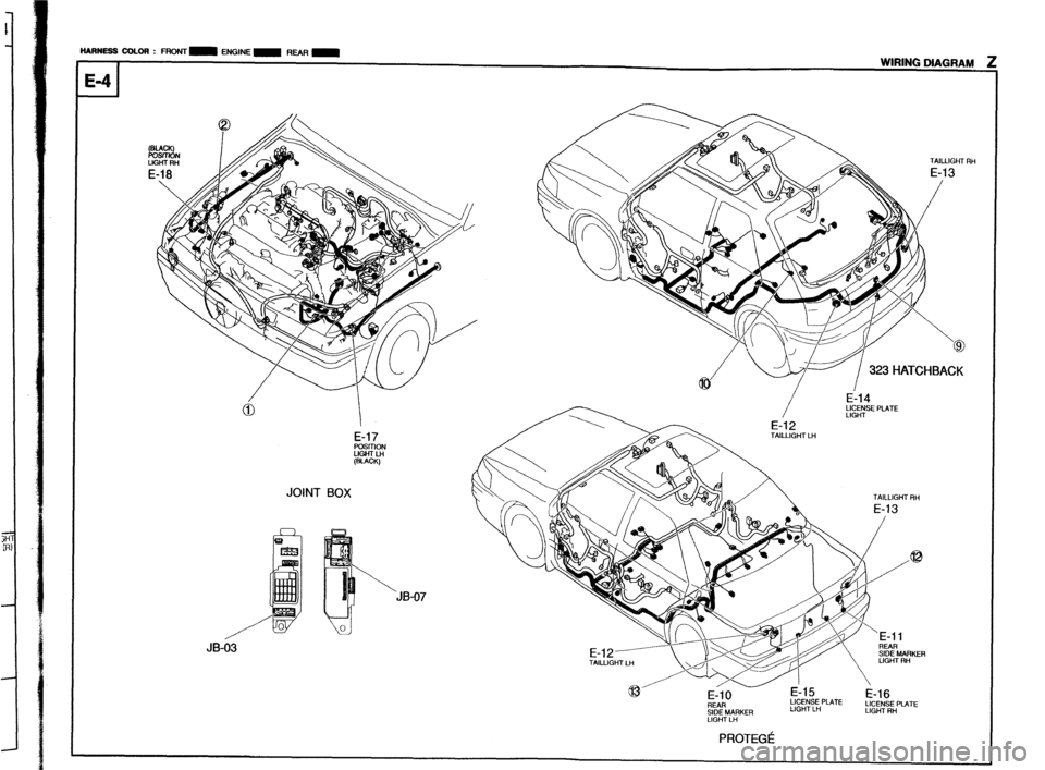MAZDA 323 1989  Factory Repair Manual HARNESS COLOR : FRONT m ENGINE m WAR m WIRING DIAGRAM 
E-4 
TAILLIGHT RH 323 HATCHBACK 
LIGHT E-17 
POSITION 
LIGHT u1 
(WCIO 
TAILLIGHT RH JB-07 
LIGHT LH PROTEGC  JOINT BOX 
JB-63 
Z-61  