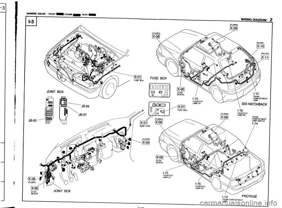 MAZDA 323 1989  Factory Repair Manual .- TRUNK COMPARTMENT 
IAMP  