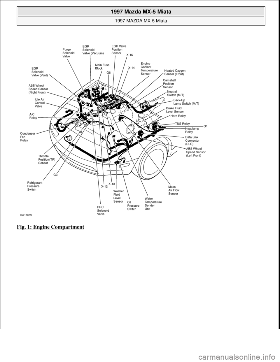 MAZDA MIATA 1997 Factory Repair Manual Fig. 1: Engine Compartment
1997 Mazda MX-5 Miata
1997 MAZDA MX-5 Miata
Microsoft
Sunday, July 05, 2009 1:54:00 PMPage 6 © 2005 Mitchell Repair Information Company, LLC. MAZDA MIATA 1997 Factory Repair Manual Fig. 1: Engine Compartment
1997 Mazda MX-5 Miata
1997 MAZDA MX-5 Miata
Microsoft
Sunday, July 05, 2009 1:54:00 PMPage 6 © 2005 Mitchell Repair Information Company, LLC.
