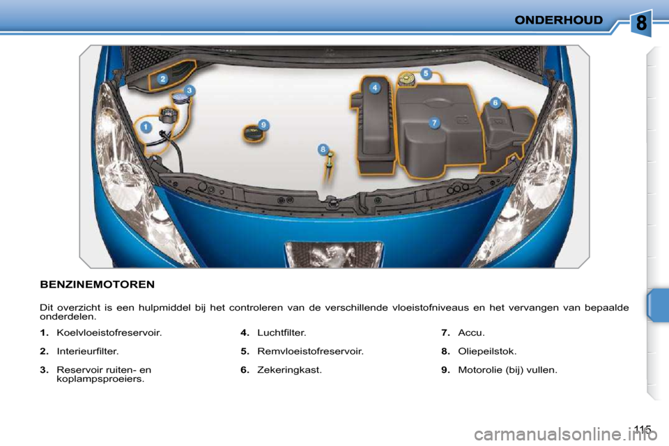 Peugeot 207 CC 2010  Handleiding (in Dutch) 115
           BENZINEMOTOREN 
 Dit  overzicht  is  een  hulpmiddel  bij  het  controleren  van  de  verschillende  vloeistofniveaus  en  het  vervangen  van  bepaalde 
onderdelen.  
   
1.    Koelvlo