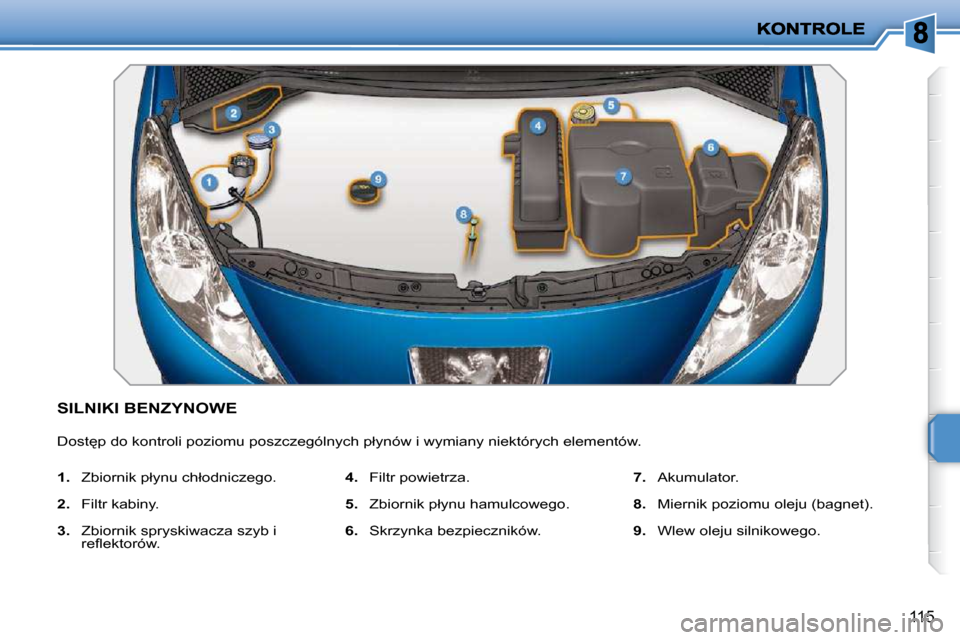 Peugeot 207 CC 2010  Instrukcja Obsługi (in Polish) 115
           SILNIKI BENZYNOWE 
� �D�o�s�t
�p� �d�o� �k�o�n�t�r�o�l�i� �p�o�z�i�o�m�u� �p�o�s�z�c�z�e�g�ó�l�n�y�c�h� �p�ł�y�n�ó�w� �i� �w�y�m�i�a�n�y� �n�i�e�k�t�ó�r�y�c�h� �e�l�e�m�e�n�t�ó�w�