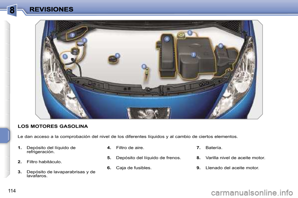 Peugeot 207 CC 2007  Manual del propietario (in Spanish) �1�1�4
�L�O�S� �M�O�T�O�R�E�S� �G�A�S�O�L�I�N�A
�L�e� �d�a�n� �a�c�c�e�s�o� �a� �l�a� �c�o�m�p�r�o�b�a�c�i�ó�n� �d�e�l� �n�i�v�e�l� �d�e� �l�o�s� �d�i�f�e�r�e�n�t�e�s� �l�í�q�u�i�d�o�s� �y� �a�l� �c