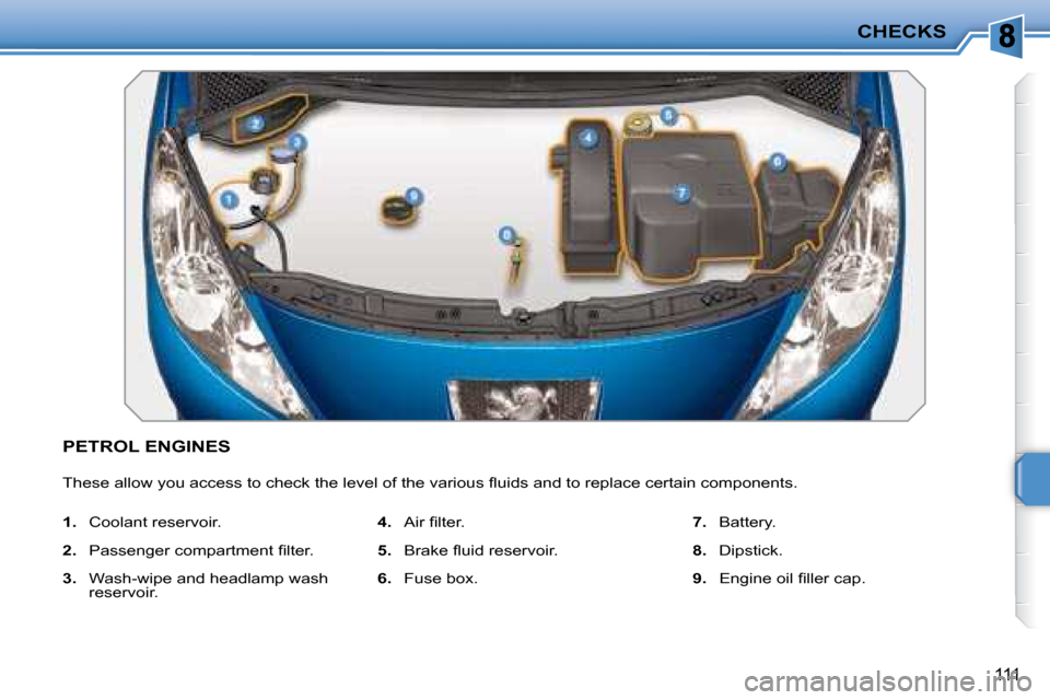 Peugeot 207 CC Dag 2007.5  Owners Manual CHECKS
111
 PETROL ENGINES 
� �T�h�e�s�e� �a�l�l�o�w� �y�o�u� �a�c�c�e�s�s� �t�o� �c�h�e�c�k� �t�h�e� �l�e�v�e�l� �o�f� �t�h�e� �v�a�r�i�o�u�s� �l� �u�i�d�s� �a�n�d� �t�o� �r�e�p�l�a�c�e� �c�e�r�t�a�i