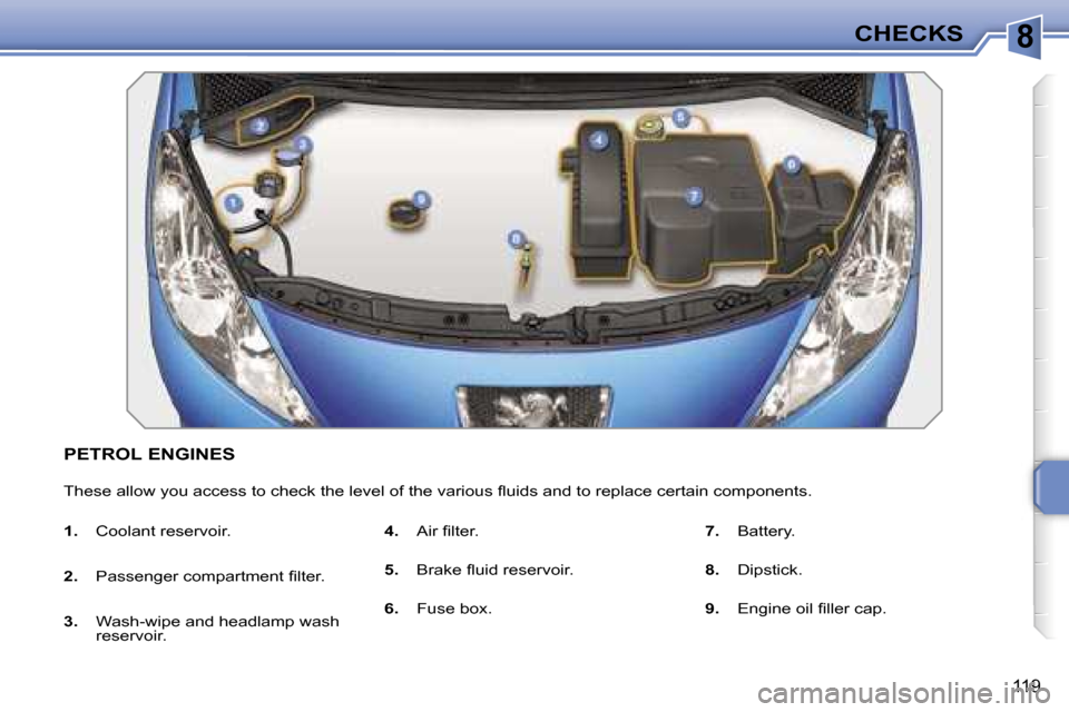 Peugeot 207 Dag 2006.5  Owners Manual �8�C�H�E�C�K�S
�1�1�9
�P�E�T�R�O�L� �E�N�G�I�N�E�S
�T�h�e�s�e� �a�l�l�o�w� �y�o�u� �a�c�c�e�s�s� �t�o� �c�h�e�c�k� �t�h�e� �l�e�v�e�l� �o�f� �t�h�e� �v�a�r�i�o�u�s� �ﬂ�u�i�d�s� �a�n�d� �t�o� �r�e�p�
