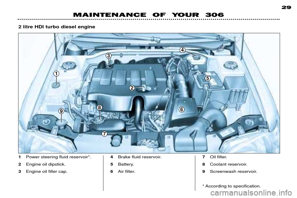 Peugeot 306 Break 2002  Owners Manual MAINTENANCE  OF  YOUR  30629
1
Power steering fluid reservoir*.
2 Engine oil dipstick.
3 Engine oil filler cap. 4
Brake fluid reservoir.
5 Battery.
6 Air filter. 7
Oil filter.
8 Coolant reservoir.
9 S