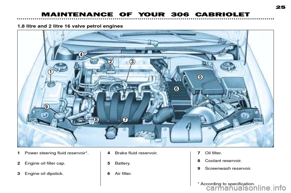 Peugeot 306 C 2001  Owners Manual 1.8 litre and 2 litre 16 valve petrol engines25
MAINTENANCE  OF  YOUR  306  CABRIOLET
1
Power steering fluid reservoir*.
2 Engine oil filler cap.
3 Engine oil dipstick. 4
Brake fluid reservoir.
5 Batt