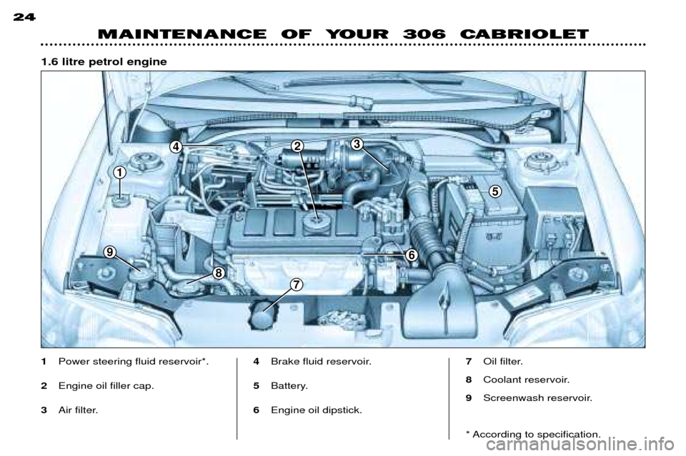 Peugeot 306 C 2001  Owners Manual 24
MAINTENANCE  OF  YOUR  306  CABRIOLET
1Power steering fluid reservoir*.
2 Engine oil filler cap.
3 Air filter. 4
Brake fluid reservoir.
5 Battery.
6 Engine oil dipstick. 7
Oil filter.
8 Coolant res