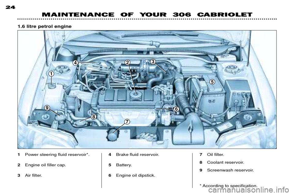 Peugeot 306 C 2001 Owners Manual 24
MAINTENANCE OF YOUR 306 CABRIOLET
1Power steering fluid reservoir*.
2 Engine oil filler cap.
3 Air filter. 4
Brake fluid reservoir.
5 Battery.
6 Engine oil dipstick. 7
Oil filter.
8 Coolant res Peugeot 306 C 2001 Owners Manual 24
MAINTENANCE OF YOUR 306 CABRIOLET
1Power steering fluid reservoir*.
2 Engine oil filler cap.
3 Air filter. 4
Brake fluid reservoir.
5 Battery.
6 Engine oil dipstick. 7
Oil filter.
8 Coolant res