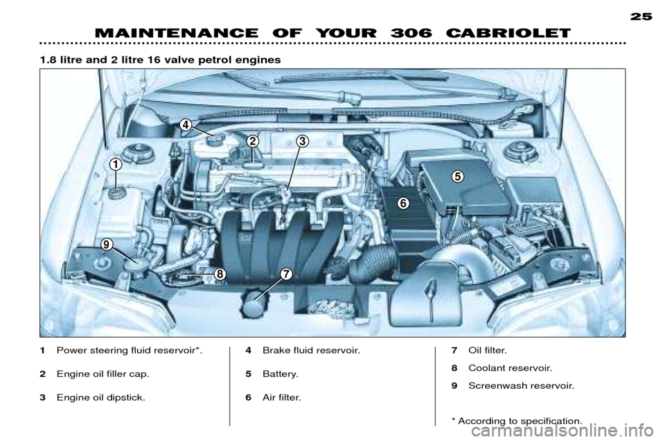 Peugeot 306 C 2001 Owners Manual 1.8 litre and 2 litre 16 valve petrol engines25
MAINTENANCE OF YOUR 306 CABRIOLET
1
Power steering fluid reservoir*.
2 Engine oil filler cap.
3 Engine oil dipstick. 4
Brake fluid reservoir.
5 Batt Peugeot 306 C 2001 Owners Manual 1.8 litre and 2 litre 16 valve petrol engines25
MAINTENANCE OF YOUR 306 CABRIOLET
1
Power steering fluid reservoir*.
2 Engine oil filler cap.
3 Engine oil dipstick. 4
Brake fluid reservoir.
5 Batt