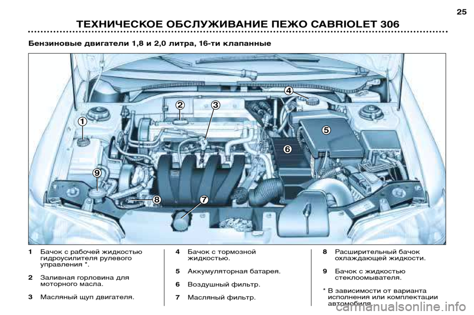 Peugeot 306 C 2001  Инструкция по эксплуатации (in Russian) 1
9
7
6
5
4
8
23
Бензиновые двигатели 1,8 и 2,0 литра, 16-ти клапанные
25
ТЕХНИЧЕСКОЕ ОБСЛУЖИВАНИЕ ПЕЖО CABRIOLET 306
1
Бачок с р