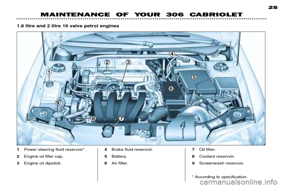 Peugeot 306 C Dag 2001  Owners Manual 1
9
7
6
5
4
8
23
1.8 litre and 2 litre 16 valve petrol engines
25
MAINTENANCE  OF  YOUR  306  CABRIOLET
1
Power steering fluid reservoir*.
2 Engine oil filler cap.
3 Engine oil dipstick. 4
Brake fluid