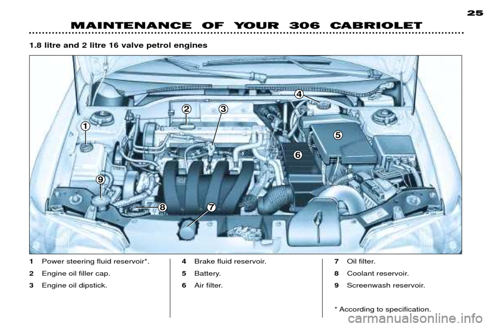Peugeot 306 C Dag 2001 Owners Manual 1
9
7
6
5
4
8
23
1.8 litre and 2 litre 16 valve petrol engines
25
MAINTENANCE OF YOUR 306 CABRIOLET
1
Power steering fluid reservoir*.
2 Engine oil filler cap.
3 Engine oil dipstick. 4
Brake fluid Peugeot 306 C Dag 2001 Owners Manual 1
9
7
6
5
4
8
23
1.8 litre and 2 litre 16 valve petrol engines
25
MAINTENANCE OF YOUR 306 CABRIOLET
1
Power steering fluid reservoir*.
2 Engine oil filler cap.
3 Engine oil dipstick. 4
Brake fluid