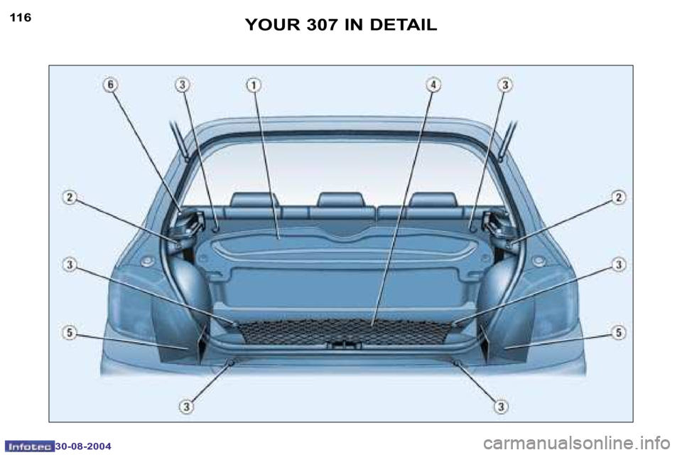 Peugeot 307 Break Dag 2004.5  Owners Manual �1�1�6
�3�0�-�0�8�-�2�0�0�4
�1�1�7
�3�0�-�0�8�-�2�0�0�4
�Y�O�U�R� �3�0�7� �I�N� �D�E�T�A�I�L  