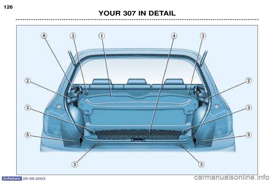 Peugeot 307 Break Dag 2003.5  Owners Manual 
	

	
#3  