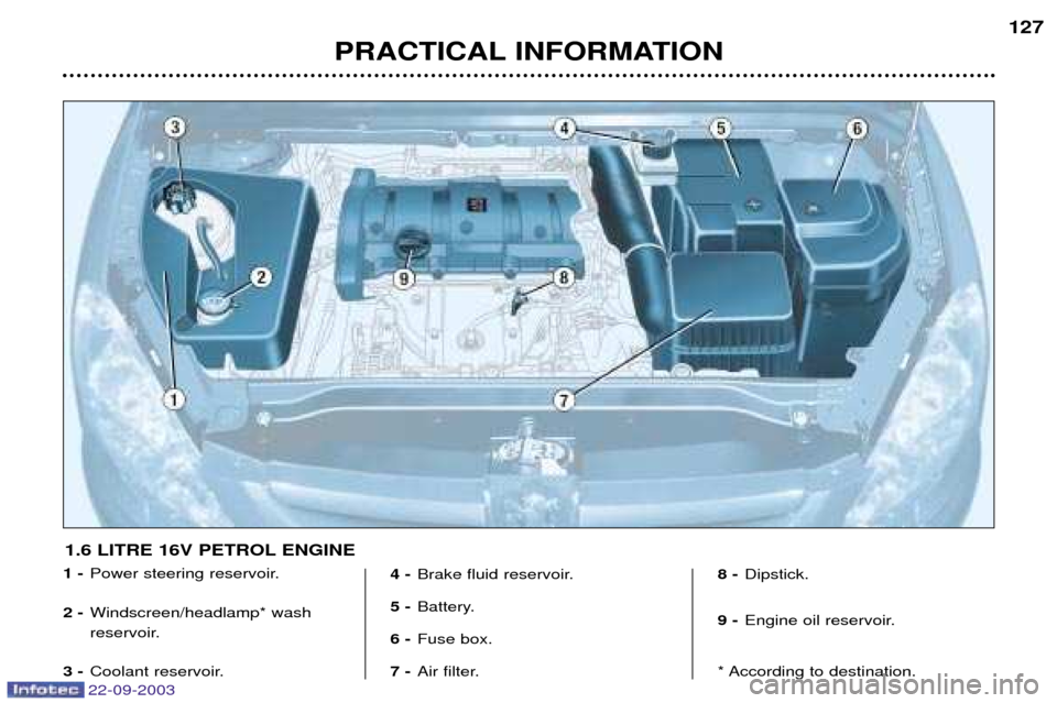 Peugeot 307 CC 2003  Owners Manual 22-09-2003
PRACTICAL INFORMATION127
1 -
Power steering reservoir.
2 - Windscreen/headlamp* wash 
reservoir.
3 - Coolant reservoir. 4 -
Brake fluid reservoir.
5 - Battery.
6 - Fuse box.
7 - Air filter.