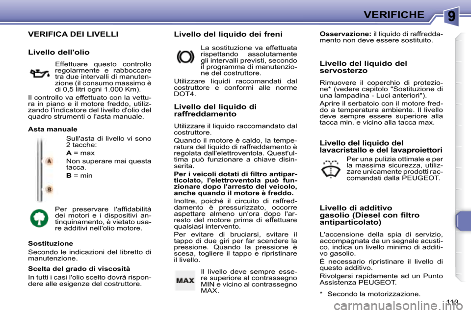 Peugeot 307 SW 2007.5  Manuale del proprietario (in Italian) 113
VERIFICHE
 VERIFICA DEI LIVELLI 
 Sullasta di livello vi sono  
2 tacche:  
  
A � � �=� �m�a�x� 
 Non superare mai questa  
tacca.  
  
B   = min 
� �P�e�r�  �p�r�e�s�e�r�v�a�r�e�  �l��a�f�i� �