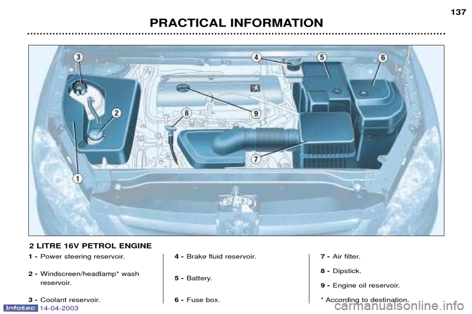Peugeot 307 SW 2003 User Guide 14-04-2003
PRACTICAL INFORMATION137
1 -
Power steering reservoir.
2 - Windscreen/headlamp* wash 
reservoir. 
3 - Coolant reservoir. 4 -
Brake fluid reservoir.
5 - Battery.
6 - Fuse box. 7 -
Air filter