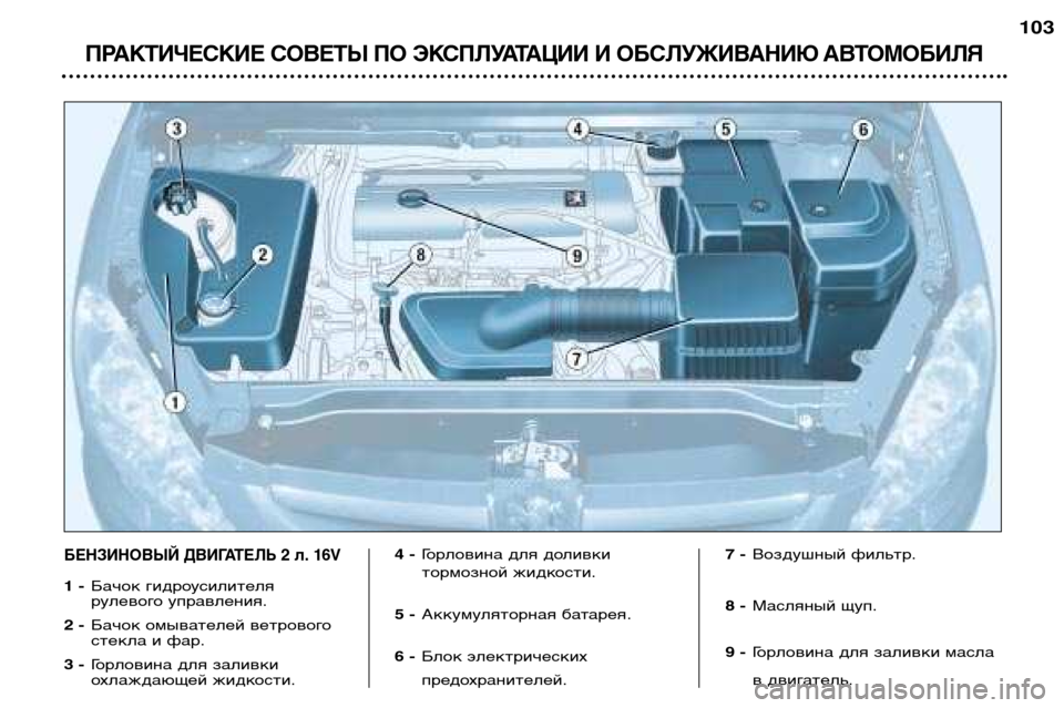 Peugeot 307 SW 2002 Инструкция по эксплуатации (in Russian) ПРАКТИЧЕСКИЕ СОВЕТЫ ПО ЭКСПЛУАТАЦИИ И ОБСЛУЖИВАНИЮ АВТОМОБИЛЯ
103
БЕНЗИНОВЫЙ ДВИГАТЕЛЬ 2 л. 16V
1 -Бачок гидроус Peugeot 307 SW 2002 Инструкция по эксплуатации (in Russian) ПРАКТИЧЕСКИЕ СОВЕТЫ ПО ЭКСПЛУАТАЦИИ И ОБСЛУЖИВАНИЮ АВТОМОБИЛЯ
103
БЕНЗИНОВЫЙ ДВИГАТЕЛЬ 2 л. 16V
1 -Бачок гидроус
