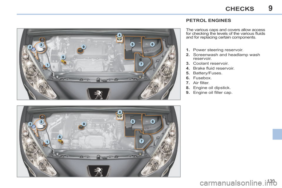 Peugeot 308 CC 2014  Owners Manual 9
133
CHECKS
PETROL ENGINES 
 The various caps and covers allow access 
for checking the levels of the various ﬂ uids 
and for replacing certain components. 
   1.   Power steering reservoir. 
  2. 